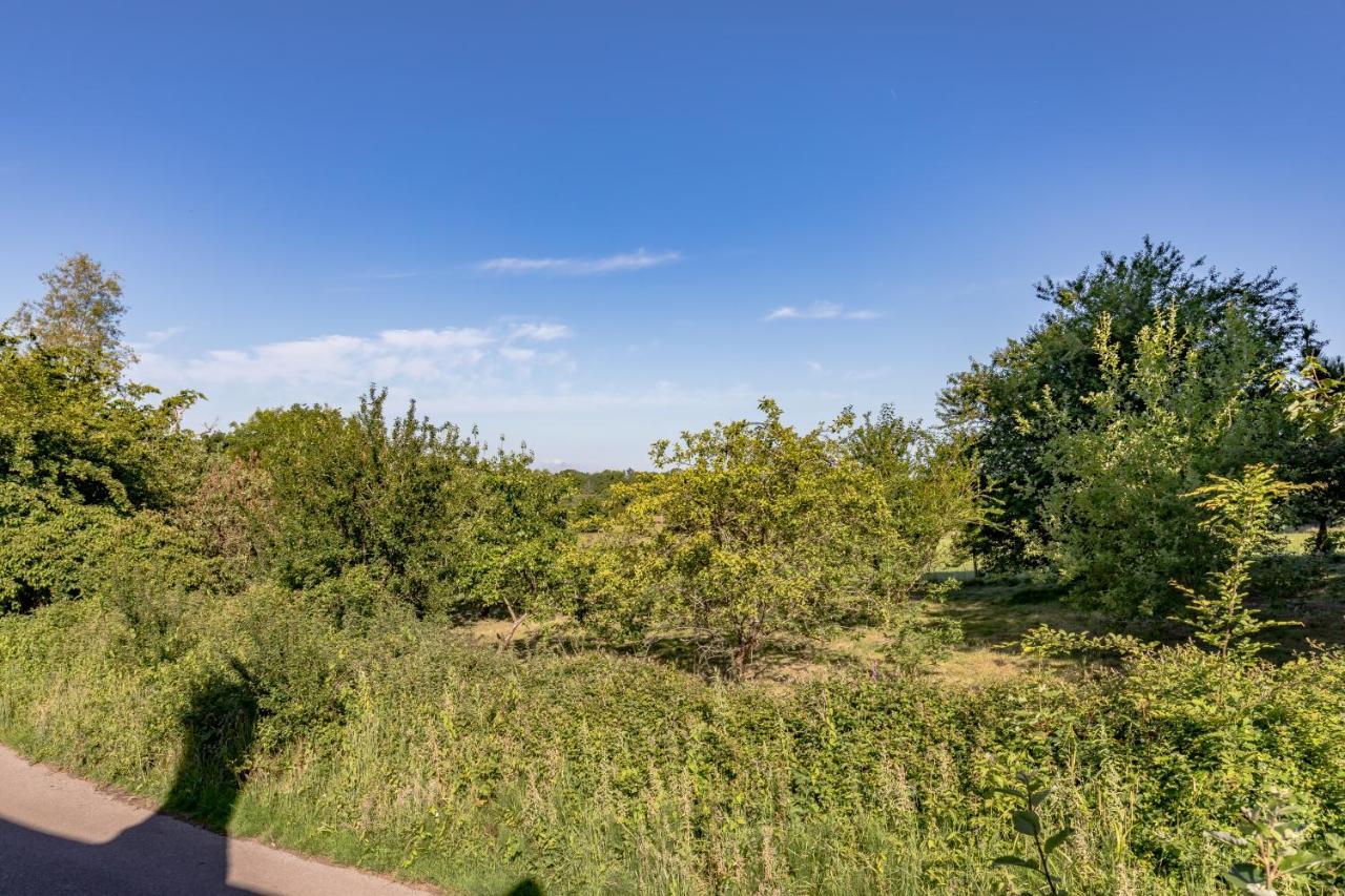 Danny Lodge - Country Cottage Near Brighton By Huluki Sussex Stays Hurstpierpoint Esterno foto