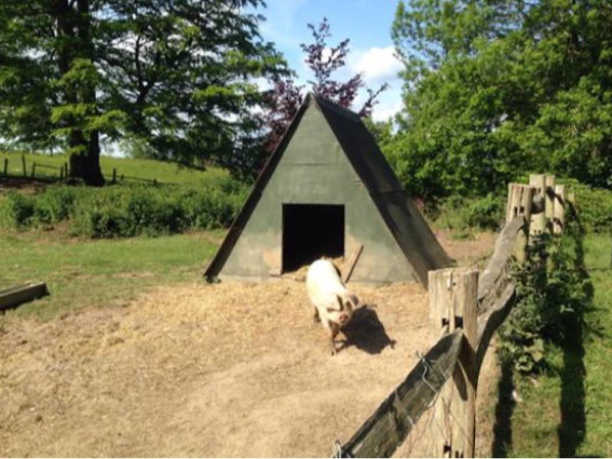 Danny Lodge - Country Cottage Near Brighton By Huluki Sussex Stays Hurstpierpoint Esterno foto